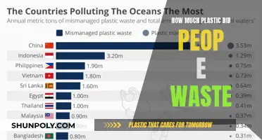 The Plastic Problem: Human Impact on the Environment
