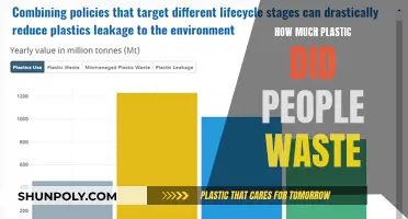 The Plastic Problem: People's Wasteful Ways