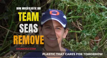 Team Seas' Massive Plastic Removal Campaign Results