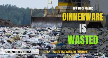 Plastic Dinnerware: The Waste Crisis on Our Tables