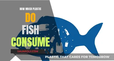 Fish and Plastic: A Worrying Consumption Story