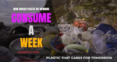 Plastic Consumption: Humans' Weekly Intake and Its Impact