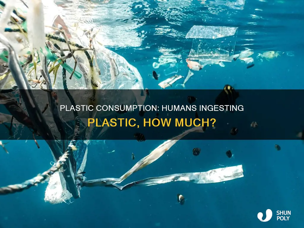 how much plastic do humans eat