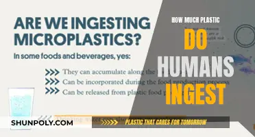 Plastic Ingestion: The Human Body's Unseen Danger