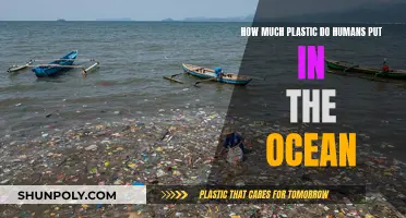 The Ocean's Plastic Problem: A Human-Made Disaster