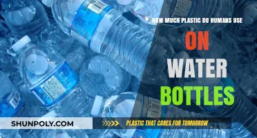 Plastic Bottle Crisis: Uncovering Our Water Bottle Consumption Habits