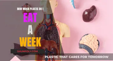 The Plastic Diet: Unknowingly Eating Plastic Every Week