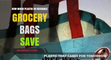 Reusable Grocery Bags: Measuring Plastic Savings and Environmental Impact