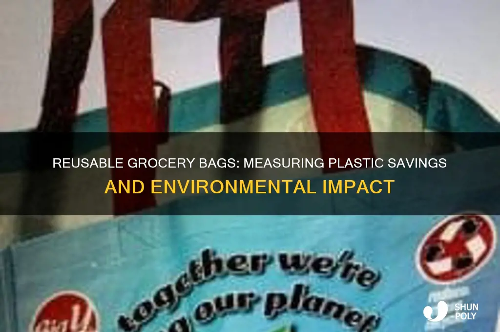 how much plastic do reusable grocery bags save