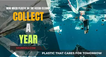 The Ocean Cleanup's Annual Plastic Collection Efforts