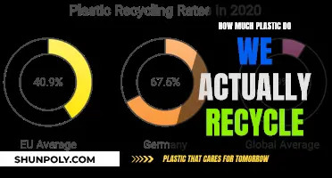 The Reality of Plastic Recycling: Are We Doing Enough?