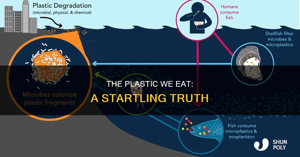 how much plastic do we consume