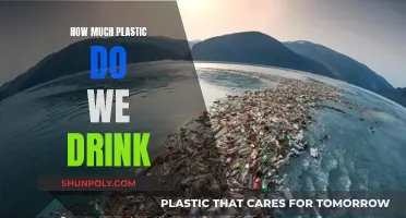 The Plastic We Drink: A Health Crisis