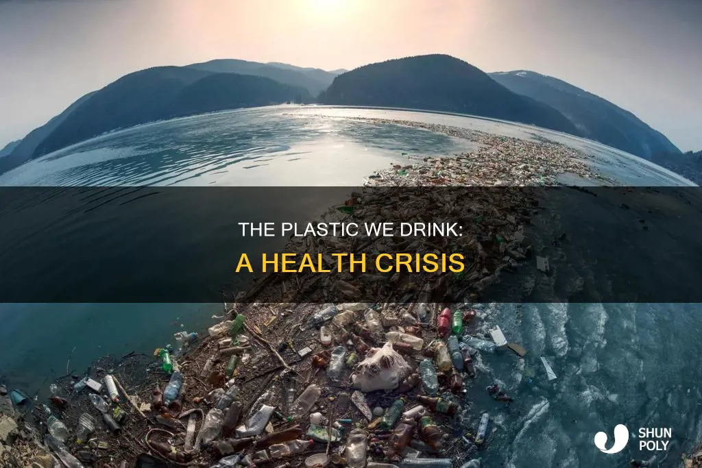 how much plastic do we drink