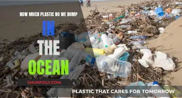 The Ocean's Plastic Problem: A Human-Made Disaster