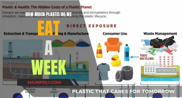 Plastic Consumption: How Much Do We Ingest Weekly?