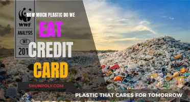 Plastic Consumption: Credit Card-Sized Portions