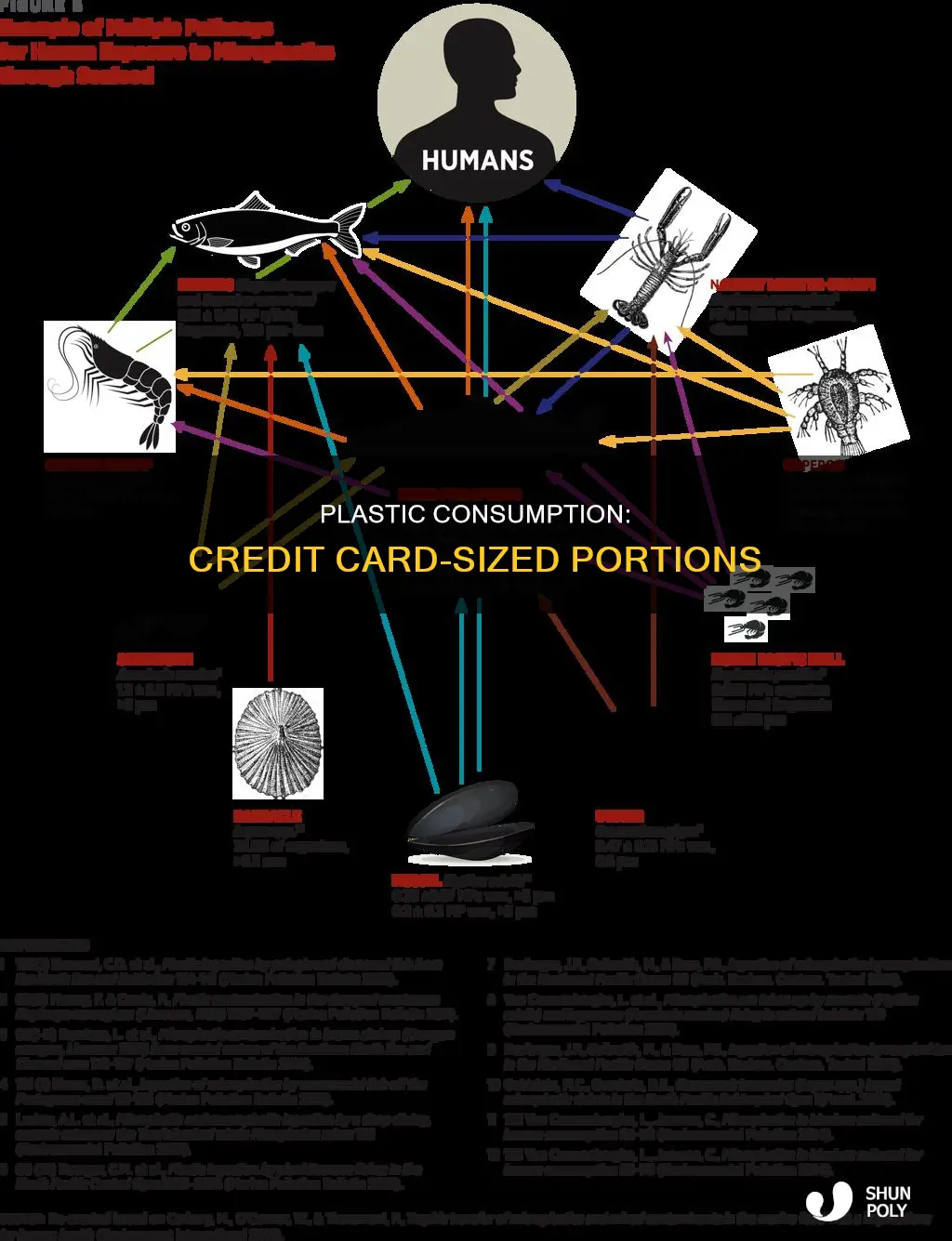 how much plastic do we eat credit card