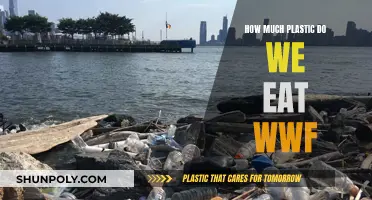 Plastic Consumption: WWF's Startling Findings and Solutions