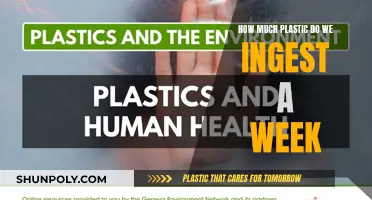 Plastic Consumption: How Much Do We Ingest Weekly?