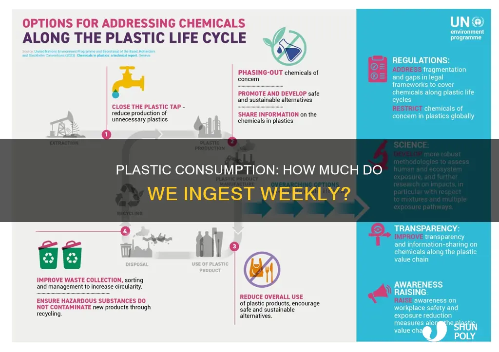 how much plastic do we ingest a week