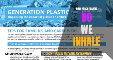 Plastic Inhalation: Understanding Our Unknowing Intake