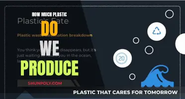 The Plastic Problem: Our Production Crisis