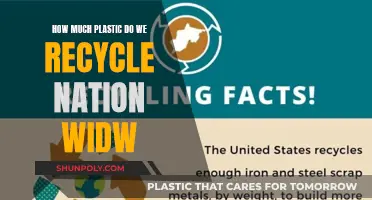 Recycling Reality: National Plastic Waste Efforts Examined