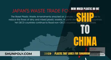 The Plastic Trade: China's Import Problem