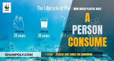 Plastic Consumption: How Much Do We Ingest?