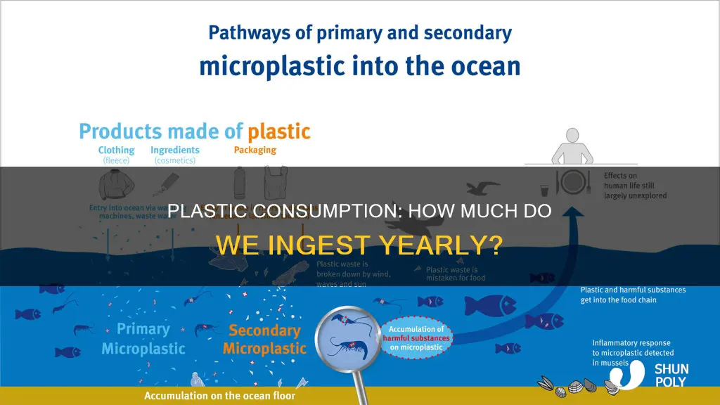 how much plastic does a peson consume yearly