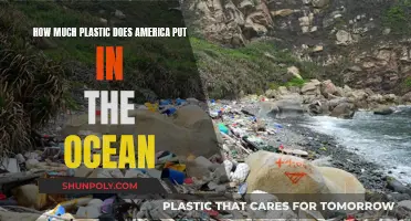 The Ocean's Plastic Problem: America's Contribution