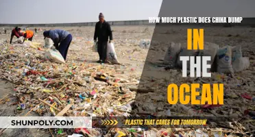 China's Plastic Pollution: Ocean Dumping Crisis