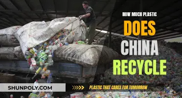 China's Plastic Recycling Efforts: How Effective Are They?