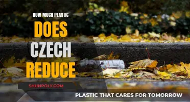 Czech Republic's Efforts in Reducing Plastic Waste