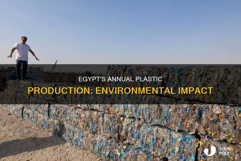 how much plastic does egypt produce each year