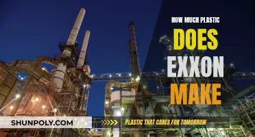 Exposing Exxon: The Plastic Production Problem