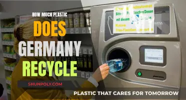 Germany's Plastic Recycling Efforts: How Effective Are They?