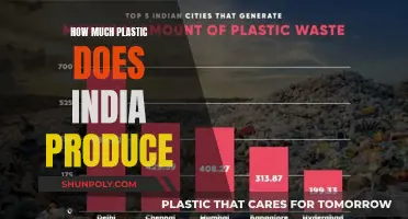 India's Plastic Production: A Comprehensive Overview