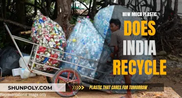 Recycling Reality: India's Plastic Problem