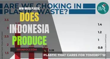 Indonesia's Plastic Production: A Comprehensive Overview