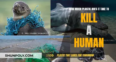 Plastic's Deadly Impact: How Much to Kill?