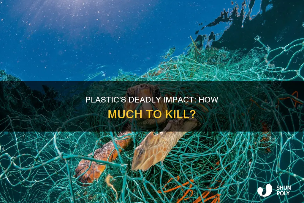 how much plastic does it take to kill a human