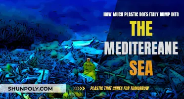 The Mediterranean's Plastic Crisis: Italy's Dumping Problem