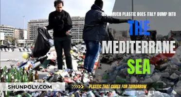 The Mediterranean's Plastic Crisis: Italy's Dumping Problem