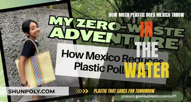 Mexico's Plastic Pollution: A Watery Grave