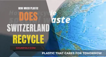 Recycling in Switzerland: Tracking Plastic's Fate