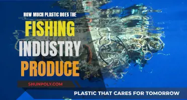 The Fishing Industry's Plastic Problem: An Environmental Concern