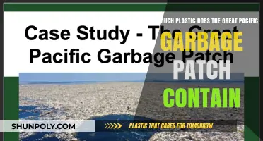 The Great Pacific Garbage Patch: A Plastic Crisis