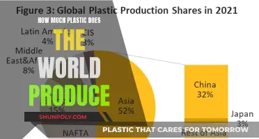 The World's Plastic Production Problem: How Much is Too Much?